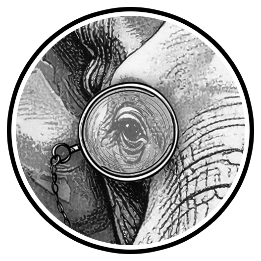 Close-up of an elephant's eye with a magnifying glass, surrounded by elephant skin texture.